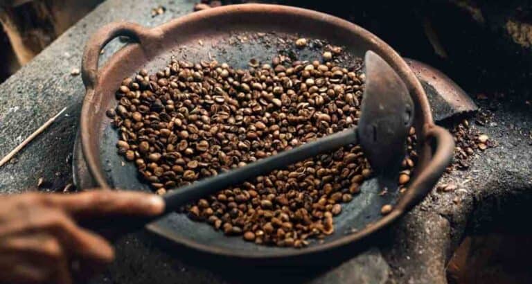 7+ Best Coffee Bean Varieties to Try Today in 2024